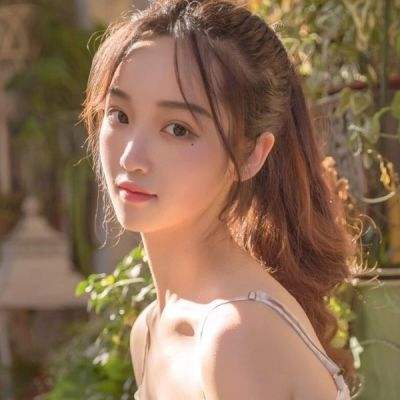 谁动了我得岛九游下载